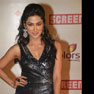 Celebs at 18th Annual Colors Screen Awards